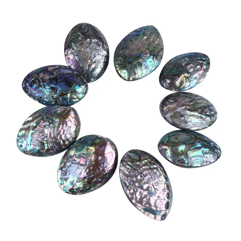 50 millimetri-60mm Freeform Naturale Grande Abalone Shell Branelli Allentati