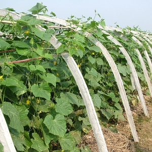 Rede de malha tamanho de pepino branco, 2x100m 24x24cm, rede de apoio de planta trelipes