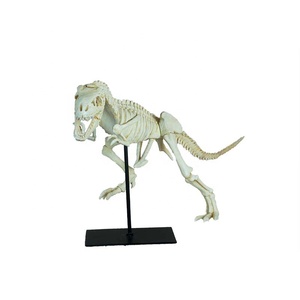 Dinozor fosil kalıp Tyrannosaurus Rex iskelet ev dekor oyma reçine heykel ev dekorasyon 3D ve hediye halk sanat CF1130031 - Product Image 4