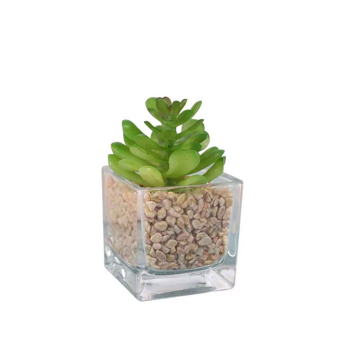 Mini Assorted Cactos Artificiais Plantas Suculentas com Limpar Vasos De Vidro Quadrado