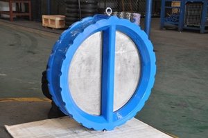 PN16 DN150วาล์วตรวจสอบเวเฟอร์แบบแผ่นคู่ - Product Image 3