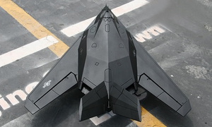 Çin oyuncak ithalatı ww1 rc uçak kitleri F-117 Nighthauk yüksek hızlı elektrikli RC çift kanatlı kararlı invert uçuş - Product Image 3