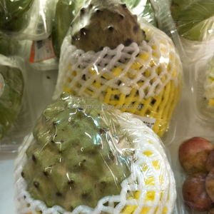Rete di frutta in schiuma EPE per estrusori di plastica linea di estrusione di plastica di alta qualità
