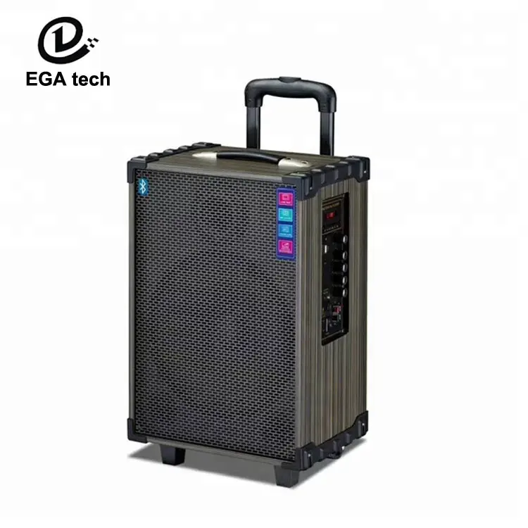 OEM 12 inch ricaricabile trolley wireless caraoke microfono altoparlante con usb e scheda sd per le prestazioni