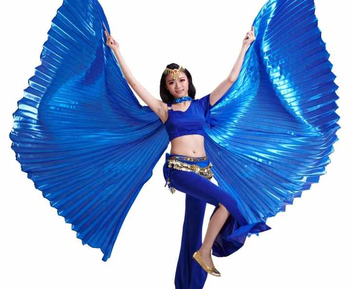 BestDance Egyptian Belly Dance Bifurcate Open on the Back Isis Wings Sticks Bag OEM