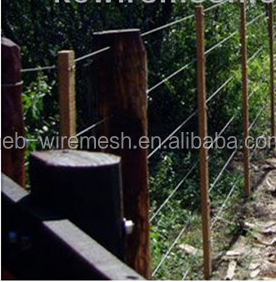 1.8*<strong>2.2MM</strong> Oval Galvanized Steel <strong>Wire</strong> for Cattle Fence - Product Image 2