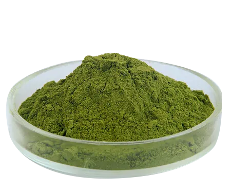% 100% saf % Moringa yaprakları toz alıcılar Moringa oleifera toz bırakır