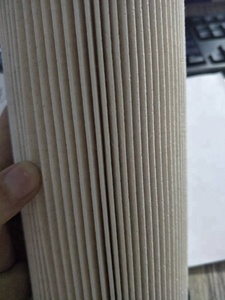 Factory Supply Fuel Filter for XF105 Truck Spare Parts 1699168