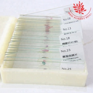 Preparado Microscópio Slide Básico Biológico Ciência Educação Set Crianças Estudantes Biologia Natureza