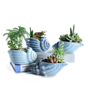 ブルーコンクオーシャンシリーズサボテン植木鉢セラミック多肉植物プランター