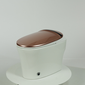 電子スマートトイレ省水インテリジェント開示自動トイレ