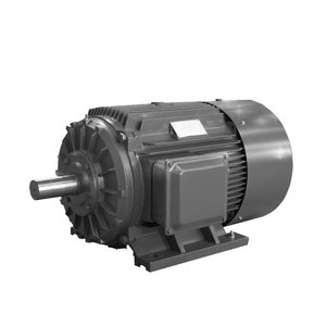 Y250M-6 37KW 50HP 380 v 400 v <span class=keywords><strong>1000</strong></span> rpm brushless ac 3 שלושה שלב אינדוקציה חשמלי מנוע 37 <span class=keywords><strong>kw</strong></span> 50 <span class=keywords><strong>hp</strong></span> 380 400 v וולט <span class=keywords><strong>1000</strong></span> rpm 50 hz
