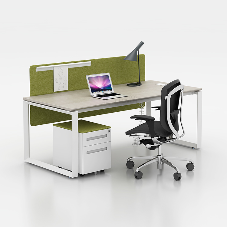 Muestra Modelo 02
