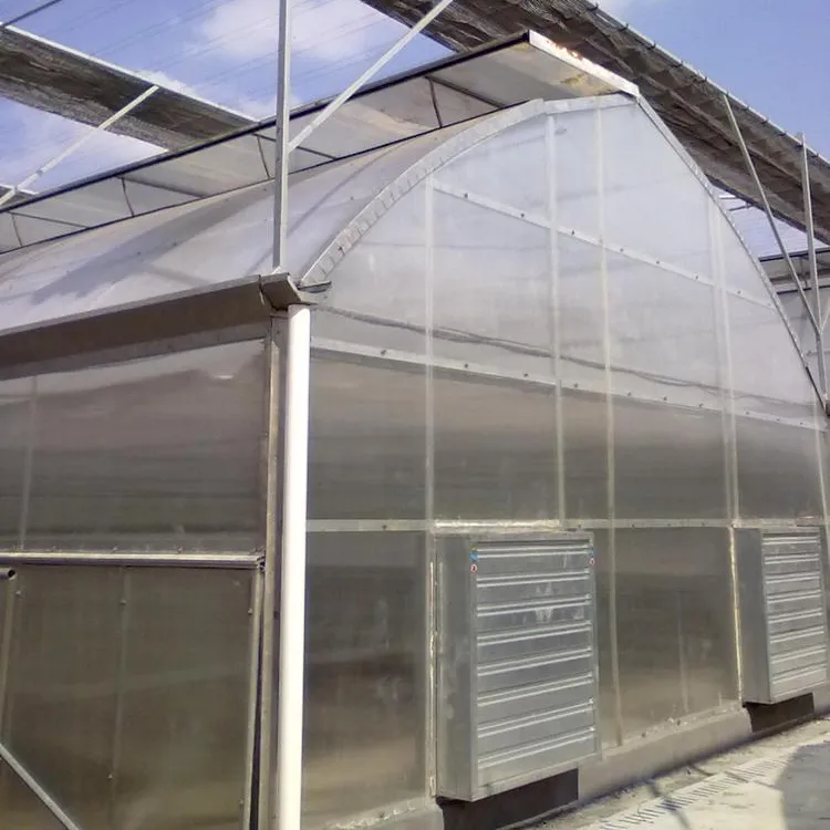 convenient and superb home multi span greenhouse