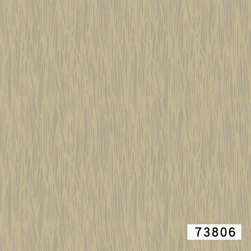 73806