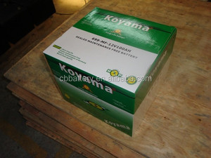 汽车电池罐电池US-6TN/ 699-MF 100ah - Product Image 4