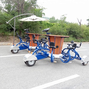 ファミリーサリーカンファレンスバイクwth 7 seat for sale