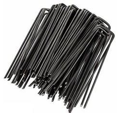 Negro
