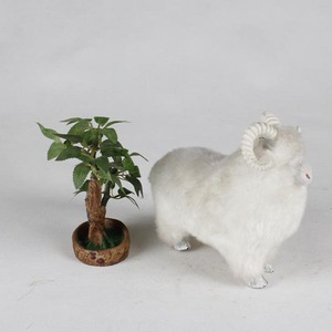 批发定制逼真毛绒动物羊毛绒玩具 - Product Image 2