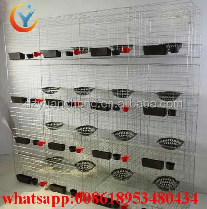Wooden Pigeon Cage For Sale For Farm With Thick Vertical Wire pigeon layer cage breeding