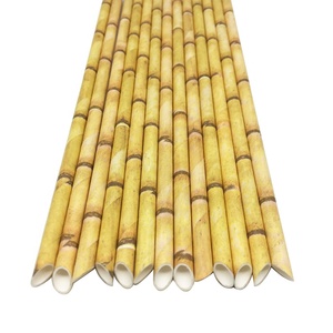 6 * 197mm生分解性紙ストロー使い捨て木製竹紙ストロー - Product Image 3