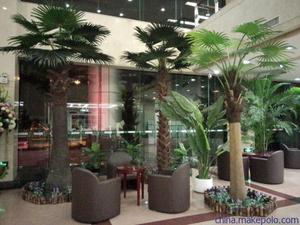 Qing Yuan gefälschte kokospalme baum gefälschte Künstliche bäume pflanze landschaft
