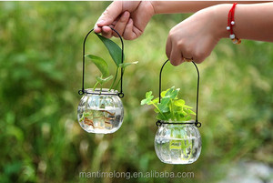 แก้วที่สวยงามฟักทองแจกันHydroponicแจกันดอกไม้ขนาดเล็กขวดแจกันแก้วHoop - Product Image 2