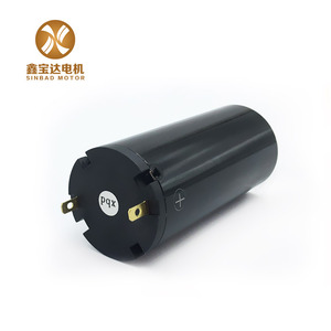 12v 6400rpm 2863 High Torque Replace Maxon <strong>Coreless</strong> Dc <strong>Motor</strong> - Product Image 6