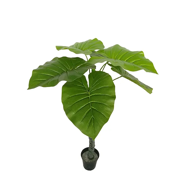 90ซม.โรงงาน Alocasia Macrorrhiza สีเขียว Bonsai 5412