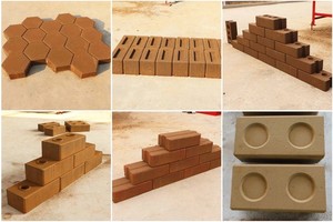 价格便宜的中国顶级粘土砖机泥浆制砖机红砖真空挤出机 - Product Image 3