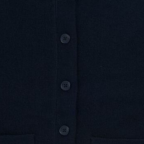 Bleu marine