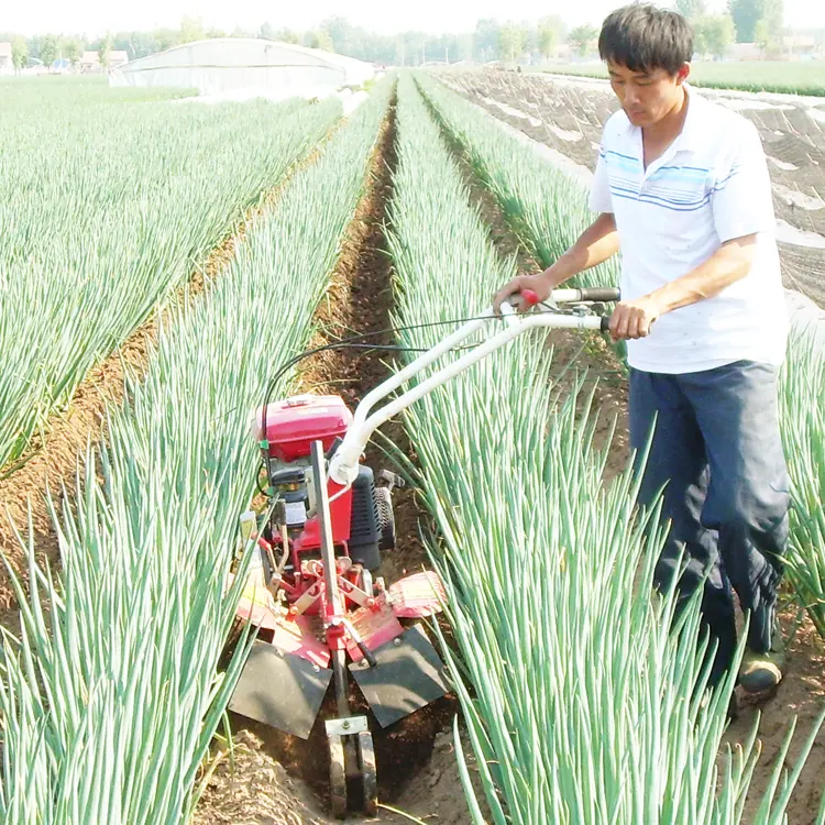 LUCA 6.5HP-15HP Multifunzionale narrow land utilizzato spinta a mano agricolo mini diesel benzina fresatrici listino prezzi in india