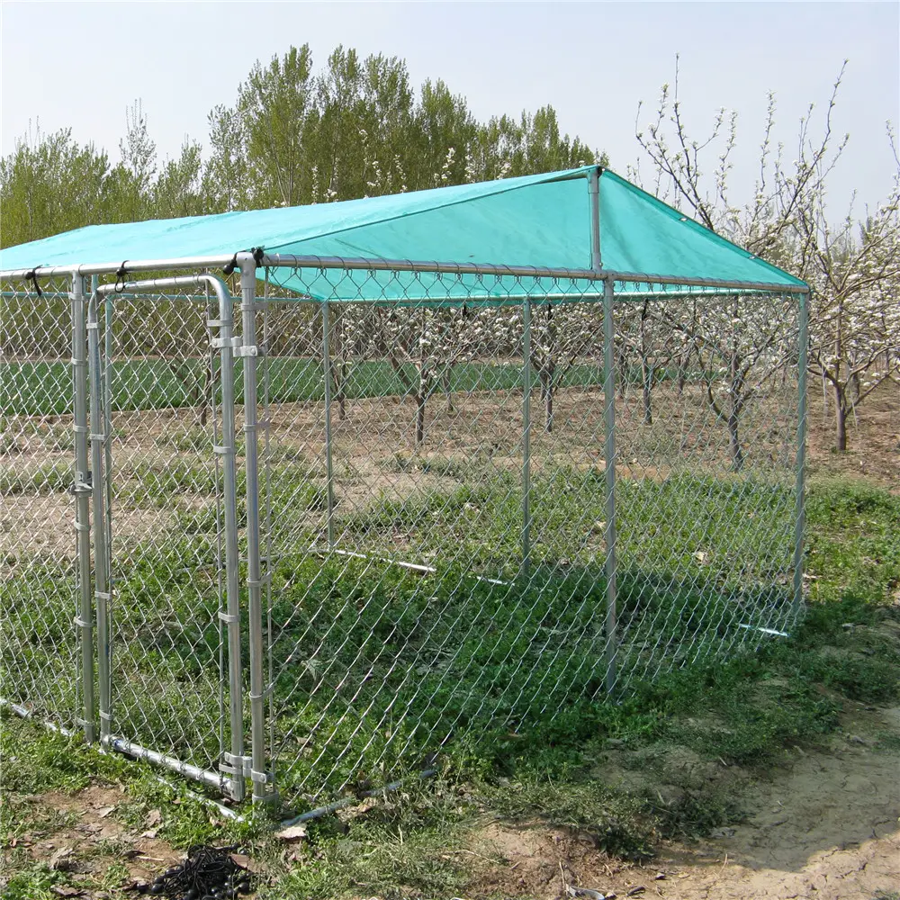 Galvanized Chain Link Fence Dog Cage