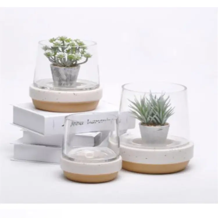 Novelty seeding used teacup mini pots / office home art ceramic porcelain planter