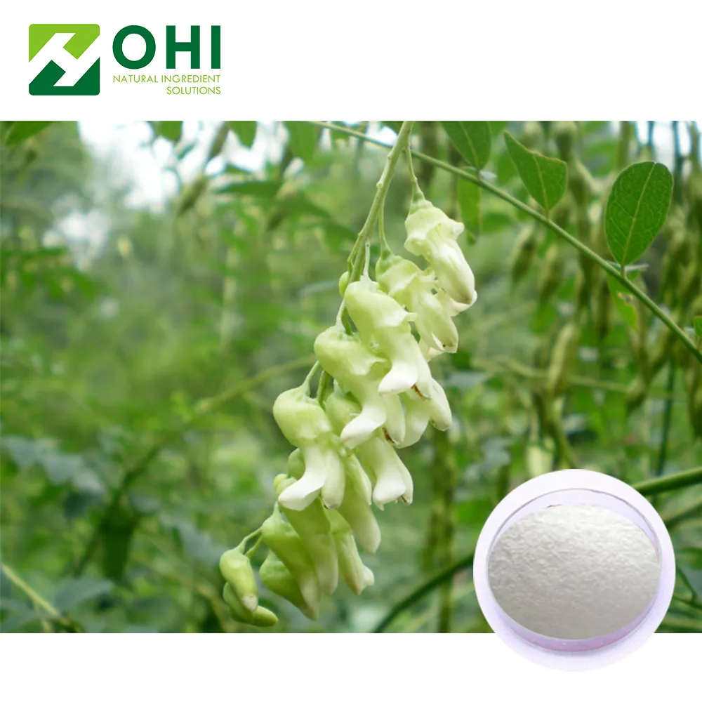 उच्च गुणवत्ता प्राकृतिक हर्बल sophorae flavescentis मूलांक