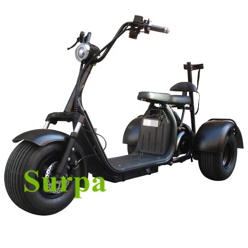 1000w 60v 12ah/ 20ah citycoco 2 portable amovible batterie gros pneu 3 roues citycoco scooter électrique/tricycle électrique