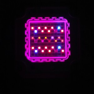 660nm 630nm <span class=keywords><strong>600nm</strong></span> 440nm 470nm 730nm 380nm ספקטרום מלא 7 להקה 30 W צבע מלא led מודול עבור צמח לגדול