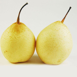 Chinese Fresh Yellow Ya <strong>Pear</strong>