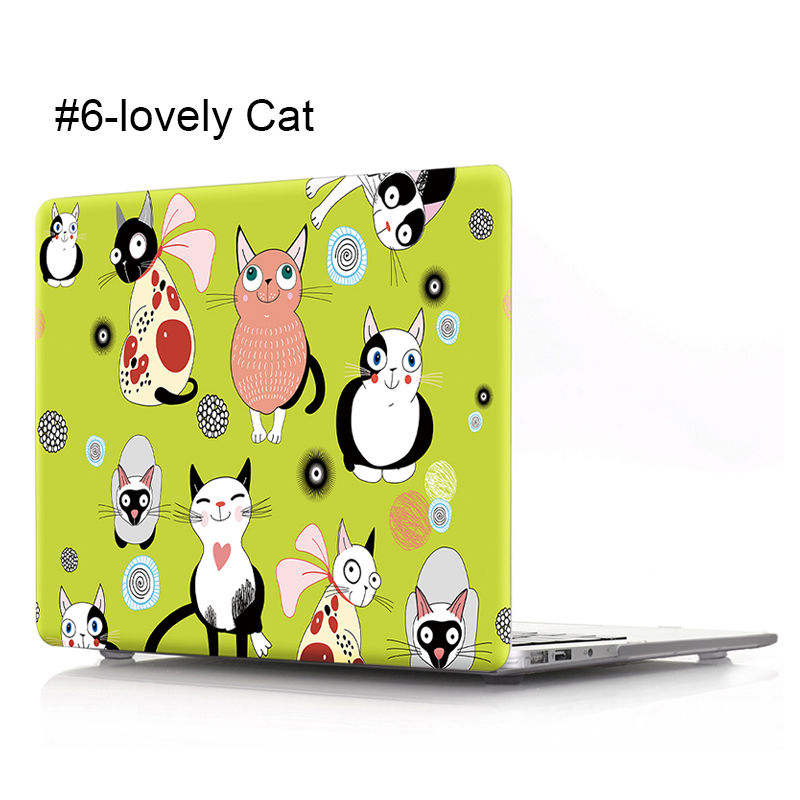 #6-Joli chat-multicolore