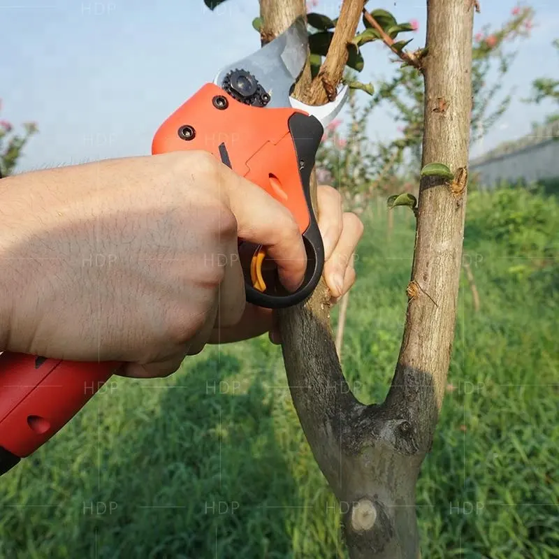 Lithium ion battery pruners powered secateurs women used hight speed electrical loppers apricot tree electronic pruners
