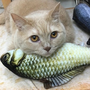 Hierba gatera con estampado de peces vívidos, producto de diseño para mascotas, respetuoso con el medio ambiente, suministros interactivos para gatos, juguete para masticar, gran oferta - Product Image 1