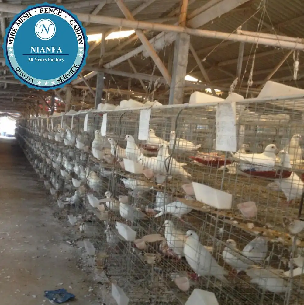 O tipo Novo e gaiolas de pombos de fantasia para venda superior para exploração avícola (Guangzhou Fábrica)