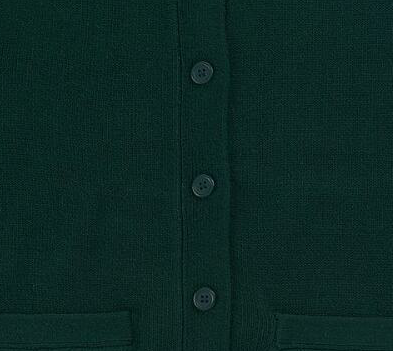 Vert