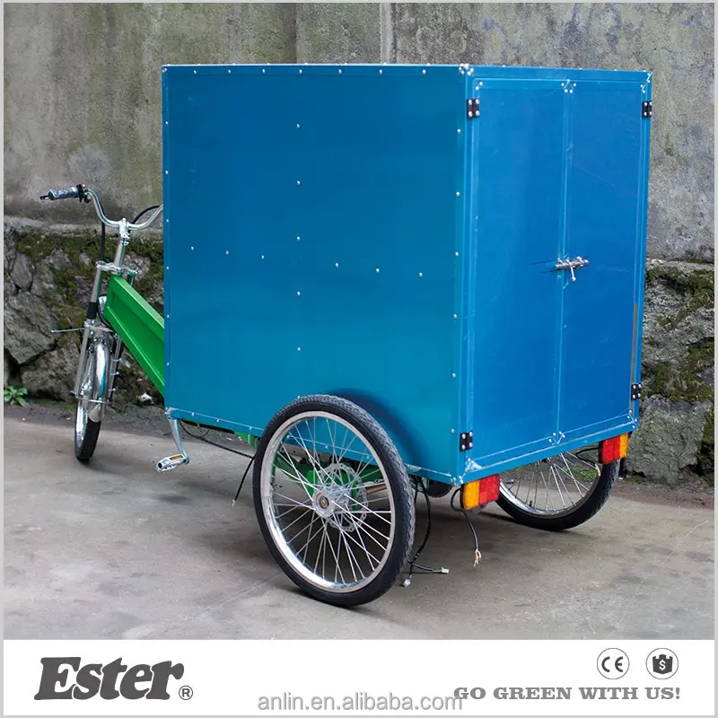 ESTER 500W Electric Cargo Trike/Tricycle high quality