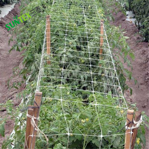 UV処理された押し出し植物サポートネット、成長が未定のガイドつる植物用ステーキングネット - Product Image 1