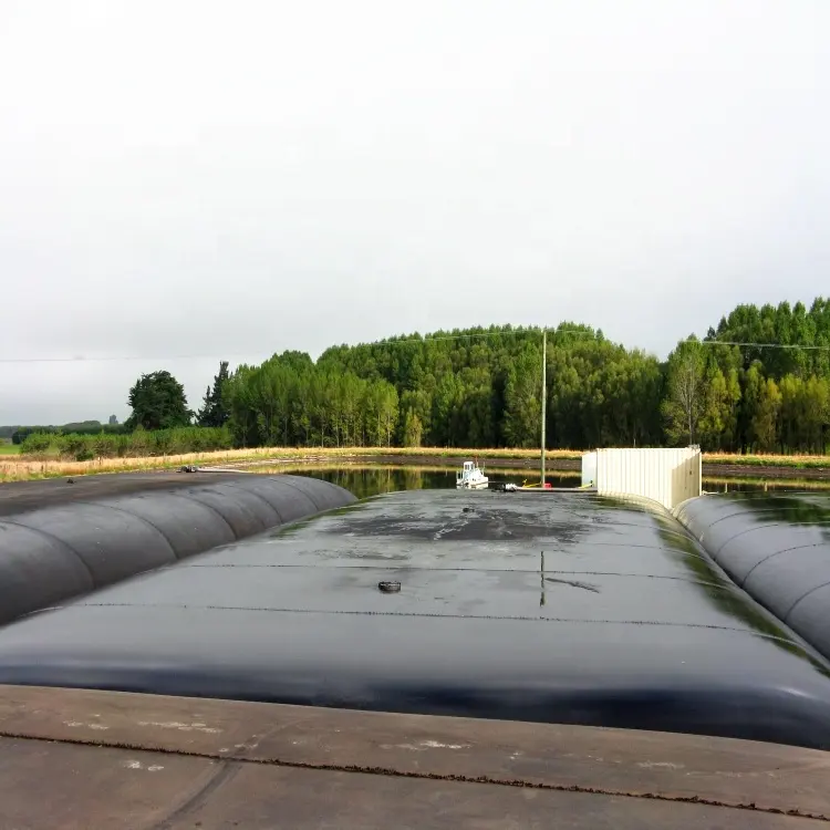 Os recipientes de rega de geotubo utilizados para tratamento de água de resíduos mundiais