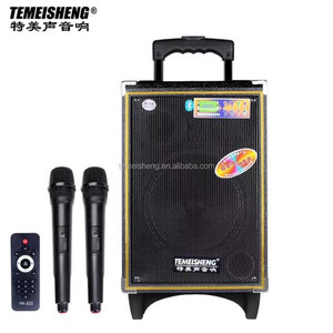 Temisheng novo modelo privado, alto-falante portátil de 8 polegadas, bateria recarregável, sistema bonn