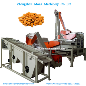 Automatische Haselnuss schälmaschine Pistazien sortierung Palmkern Crushing Peeling Verarbeitung linie Kleiner Mandel schäler - Product Image 2