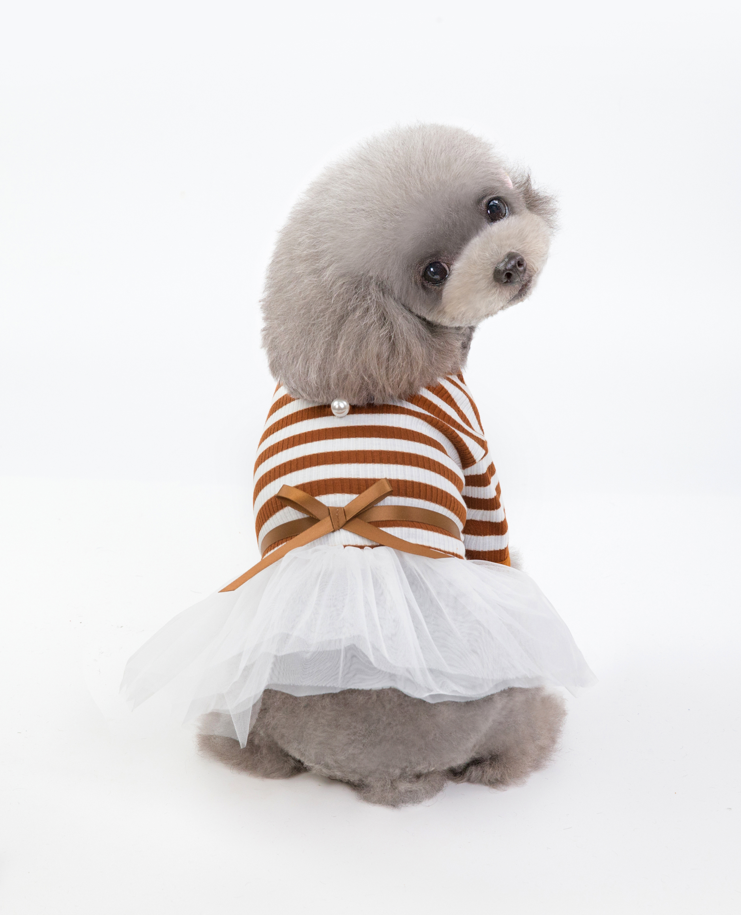 Coffee pet dress
