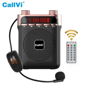 Callvi V919 נייד רמקול fm רדיו אלחוטי קול מגבר עם הד פונקצית